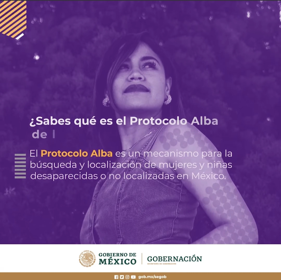 El Protocolo Alba Se Implementa Para La Protección De Mujeres